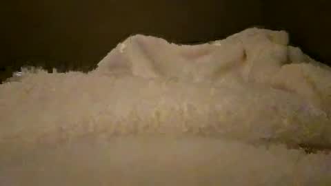 what_whaaat online show from October 15, 4:31 am