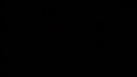 whiskeywillie online show from November 24, 6:03 am