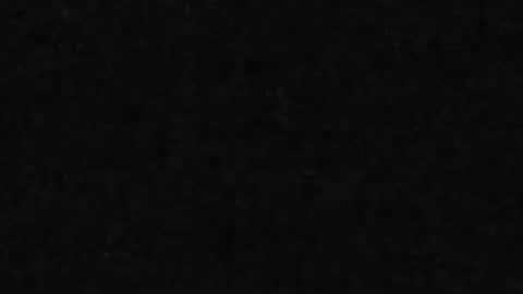 whitehead_lion online show from March 31, 6:42 pm