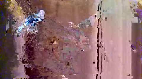 whoanelly0 online show from September 18, 10:06 am