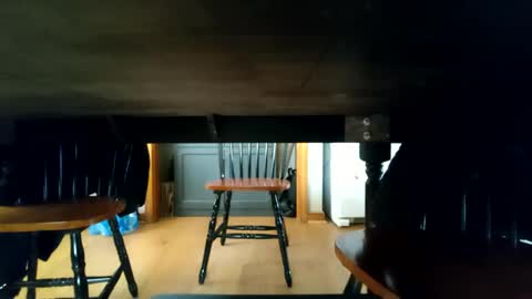 whoneedsaowner online show from January 9, 2:18 pm