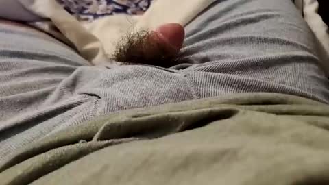 Wild-at-heart online show from December 22, 2:49 am