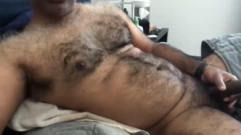 wildhungry online show from June 1, 4:51 pm