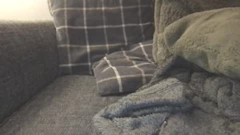 Snapshot of will_yng chatting on January 30, 5:06 pm will_yng online show from January 30, 5:06 pm