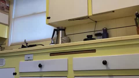 William online show from April 5, 2:35 pm