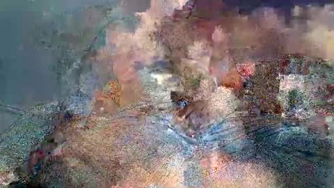 wolf boy online show from February 2, 3:49 am