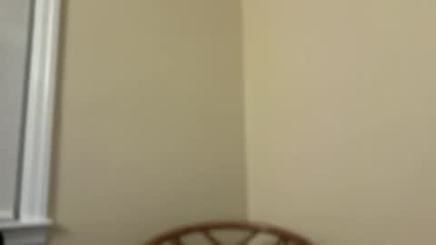 Snapshot of workmyassxxx chatting on December 12, 11:36 pm workmyassxxx online show from December 12, 11:36 pm