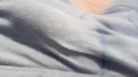 wowbulge online show from October 17, 7:01 am