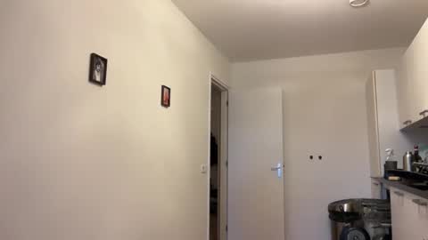 joejoe online show from January 23, 1:56 pm