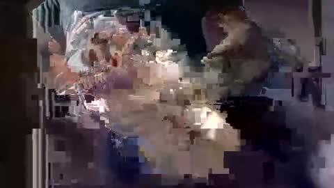 x_man2026 online show from May 3, 3:42 am