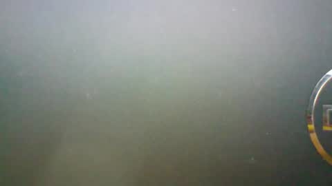 xampux online show from September 23, 10:47 am