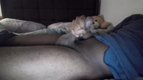 Snapshot of xqbbcqx chatting on October 30, 4:19 pm xqbbcqx online show from October 30, 4:19 pm