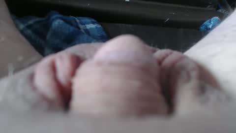 yellowfolderbandit online show from March 20, 6:56 pm