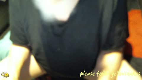 .     y e l l o w s n a k e s       . online show from December 3, 9:04 am