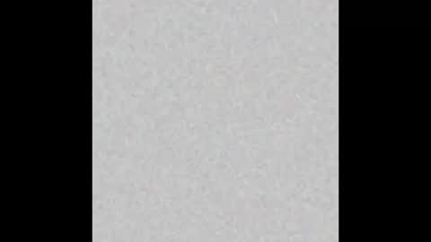 .     y e l l o w s n a k e s       . online show from February 3, 6:40 am