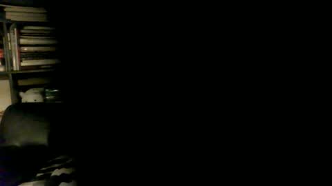 yessex247 online show from April 17, 1:52 am