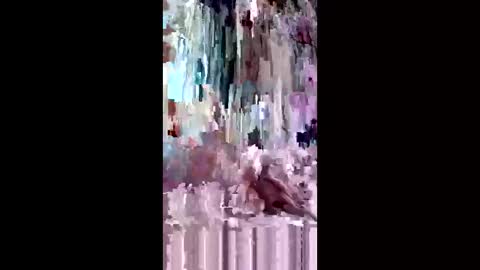 yudi11514 online show from March 29, 9:53 am