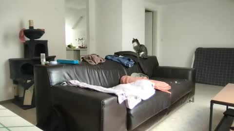 yvesbunnny online show from April 1, 8:27 am