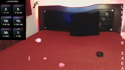 Zagarah online show from April 9, 12:08 am