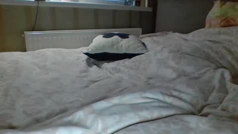 zaicik88 online show from January 21, 6:34 am