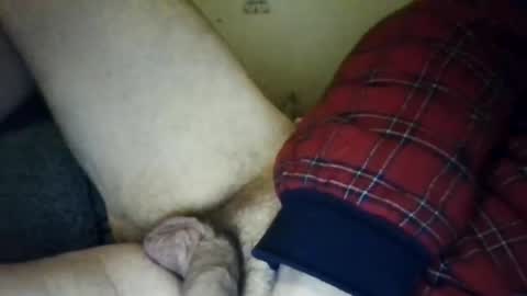 Snapshot of zeeotter chatting on October 23, 6:50 am zeeotter online show from October 23, 6:50 am