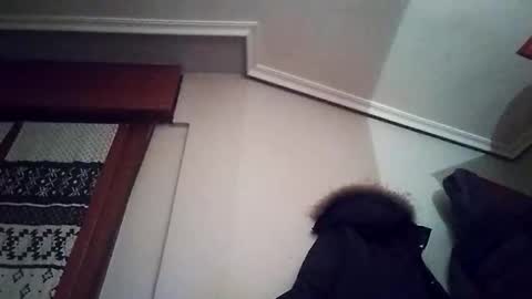 zigor13 online show from February 4, 9:32 pm