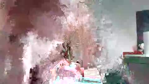 zogum online show from November 1, 11:20 pm