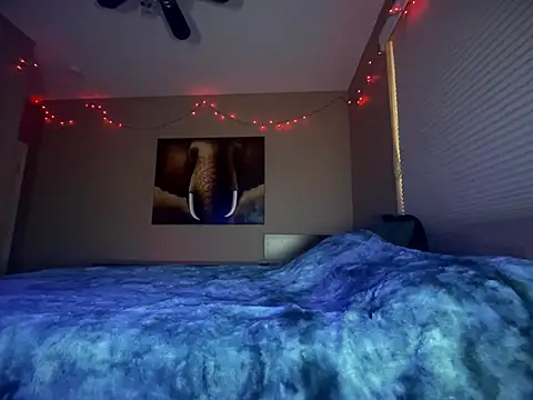 Bwcjoshbanks online show from December 15, 4:20 am