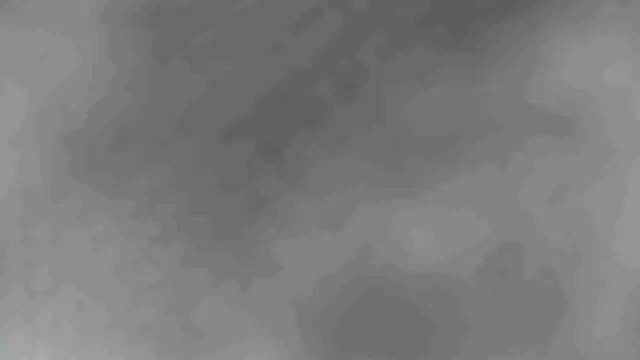 sclax38 online show from January 3, 11:25 am