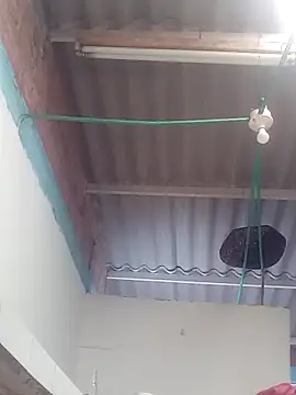 mailo bronw online show from March 30, 3:13 pm