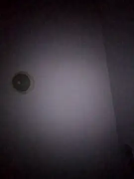 Treemandude online show from January 15, 11:03 am