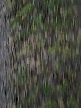 Przystojniak77 online show from December 20, 2:24 pm