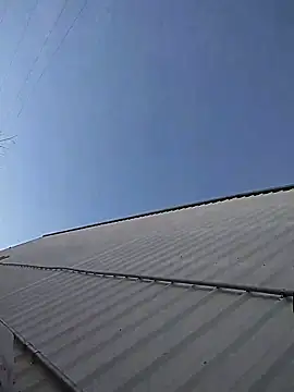 bigdoog8 online show from March 17, 4:53 pm