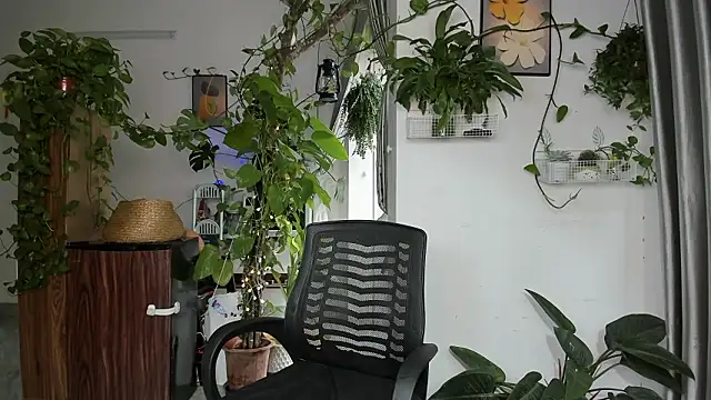 Oliver Nl online show from January 16, 4:48 am