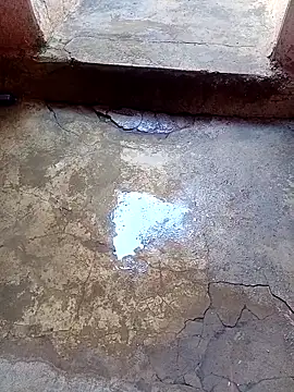 rau 4455 online show from November 24, 9:32 am