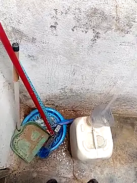 rau 4455 online show from November 21, 11:09 am