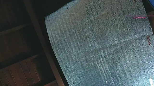 SilvaBranko online show from April 13, 1:06 am