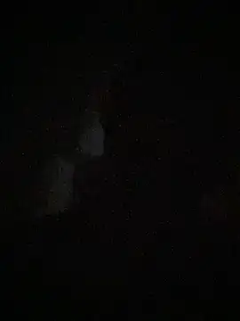  ace ventura online show from November 12, 5:13 am