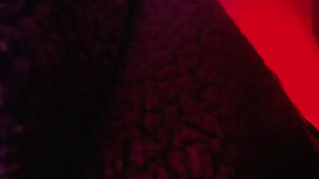 zacwatson  online show from November 14, 2:59 am