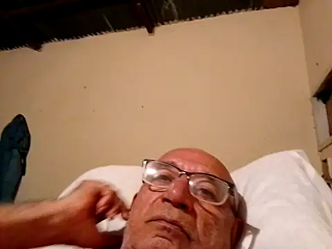 sincuenton24cmts online show from December 3, 1:55 am