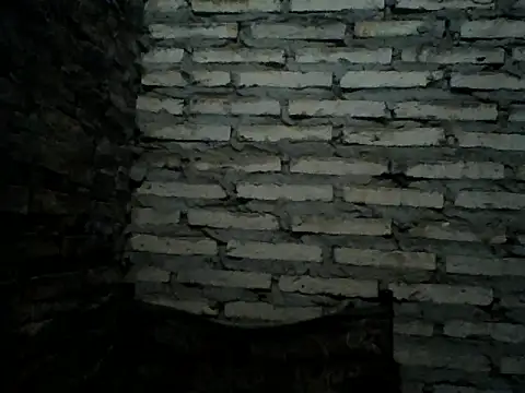 Rodrigo happy online show from December 14, 3:02 am