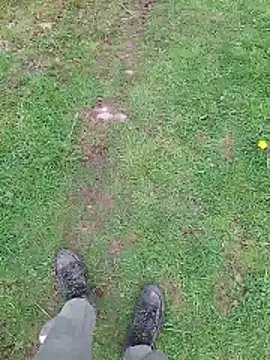 FreezingTie850 online show from April 19, 10:37 am