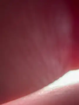 SeiGeilUndFrei online show from February 14, 8:53 am