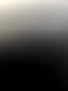 Rikipollav online show from March 8, 4:22 pm