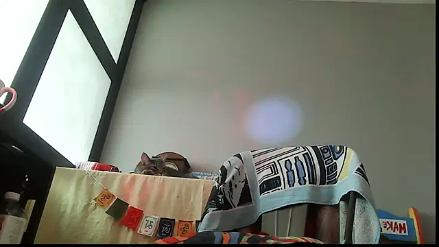 SexWorkerX online show from March 1, 2:50 pm