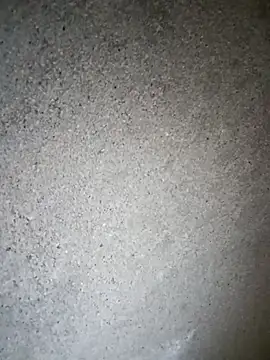 Yasha 14C Creator online show from November 15, 5:31 am