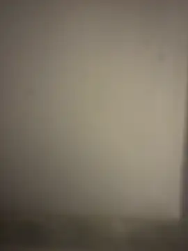 orient zob online show from January 7, 2:49 am