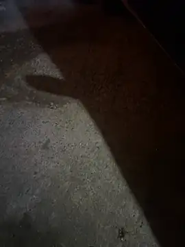 rgmati online show from March 9, 3:34 am