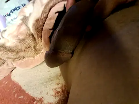 Advise99 online show from February 28, 1:14 pm