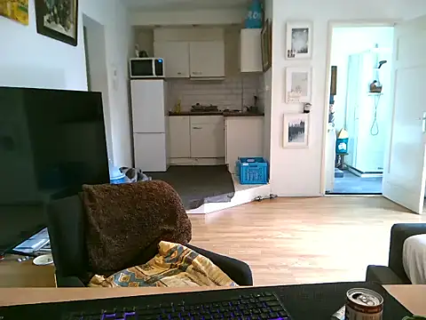 mihaimichael online show from May 11, 11:45 am